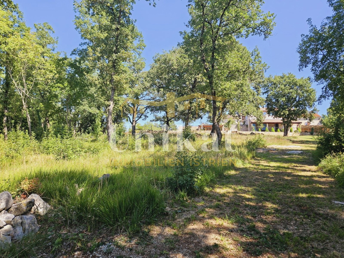 Posest z obnovljeno kamnito hišo, vrtom in bazenom